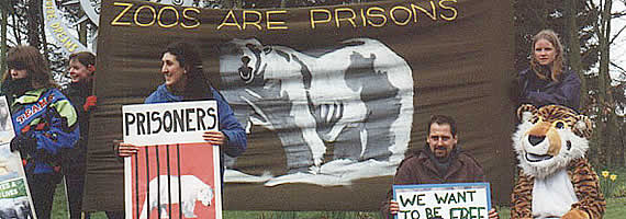 Zoos and circuses are prisons
