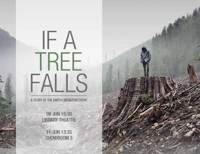 If a Tree Falls