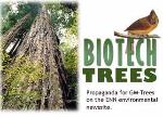 Propaganda on www.enn.com, GM-trees that grow high and birds like it.