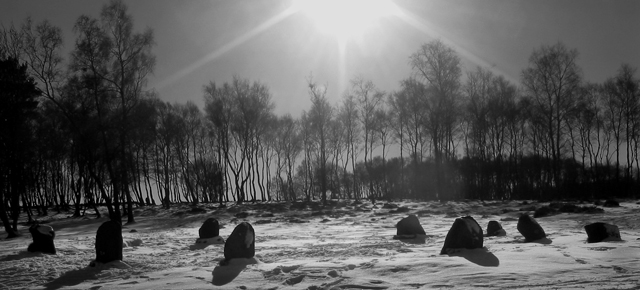 Nine Ladies Stone Circle