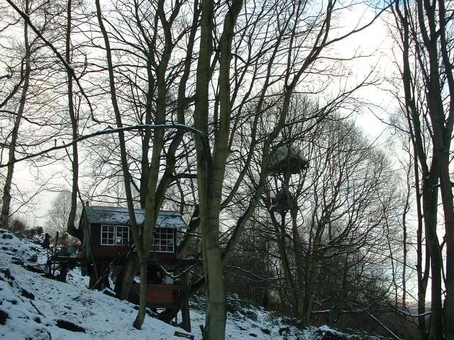 Tree Houses