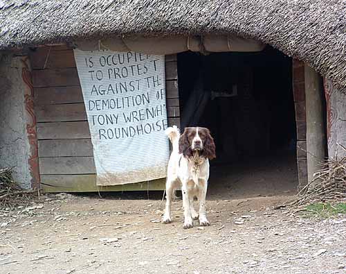 The squatted round house at Castell Henllys