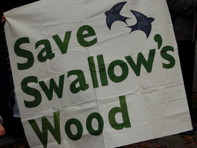Save Slallow's Wood
