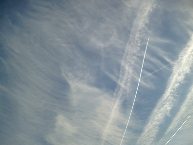 Do you think this is "normal"?